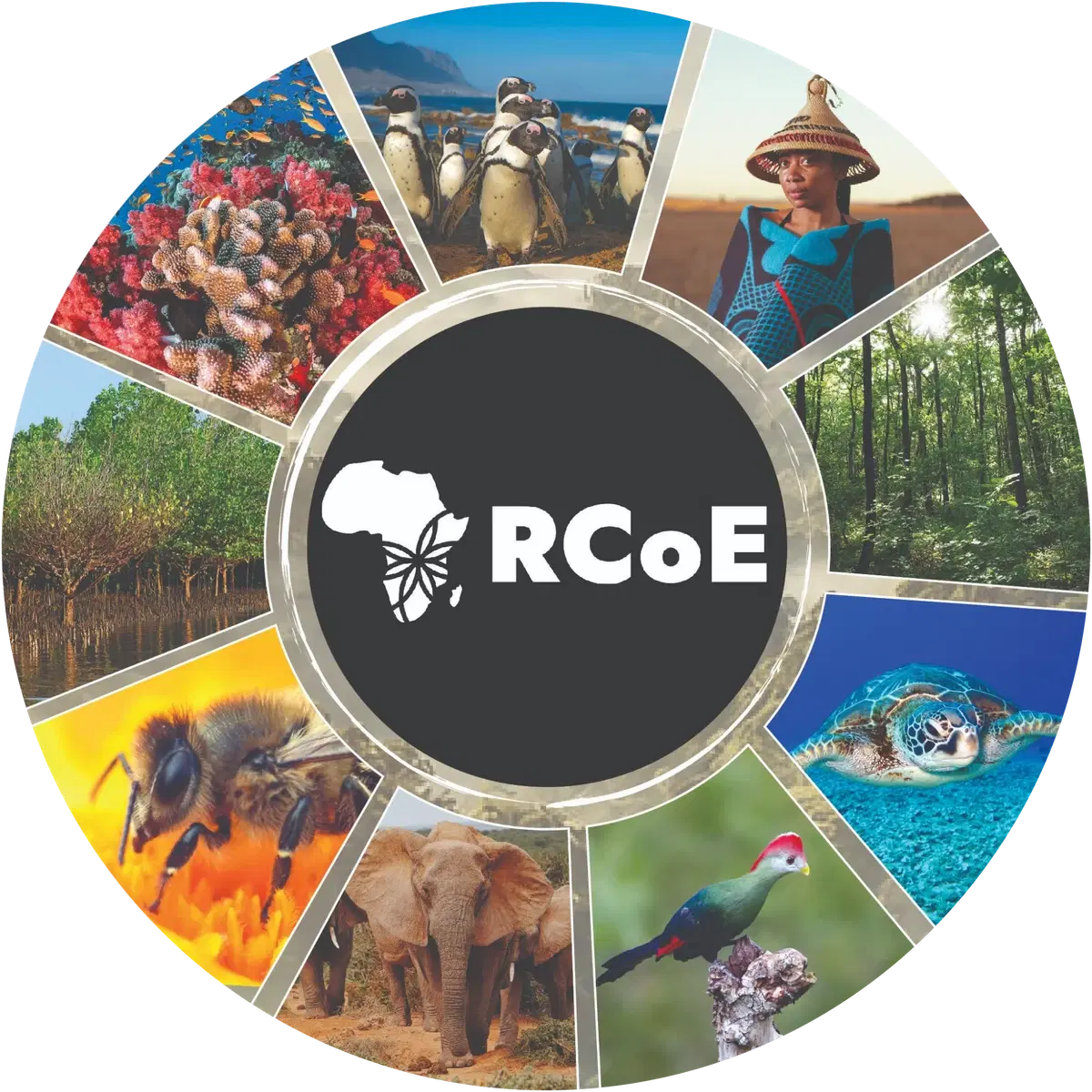 RCoE wheel — a mosaic of Eastern and Southern African biodiversity: coral reefs, penguins, mangroves, elephants, sea turtles and local communities