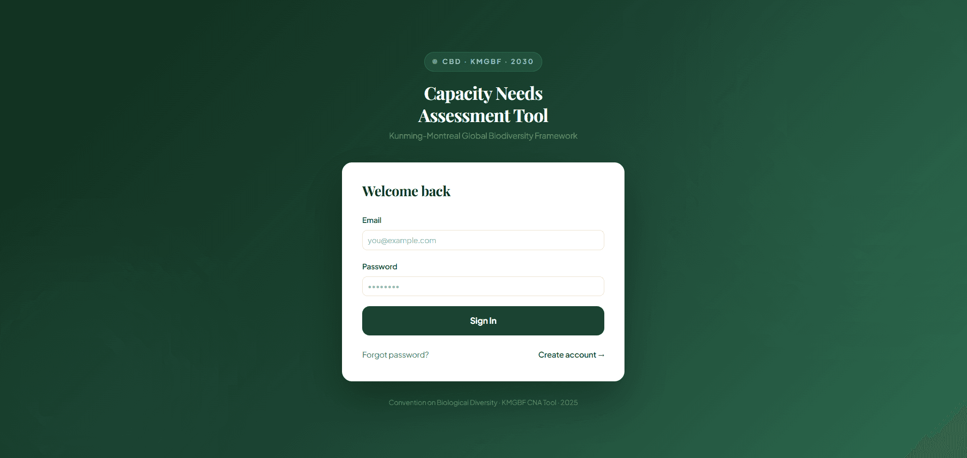 KMGBF CNA Tool — sign-in screen