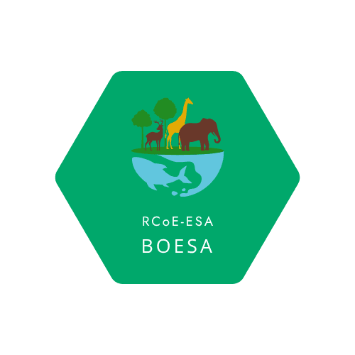 BOESA